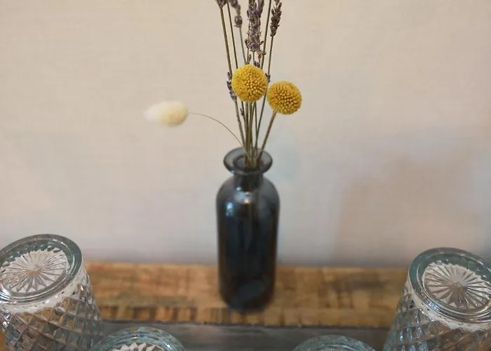 Πανσιόν Gaestehaus Wolff